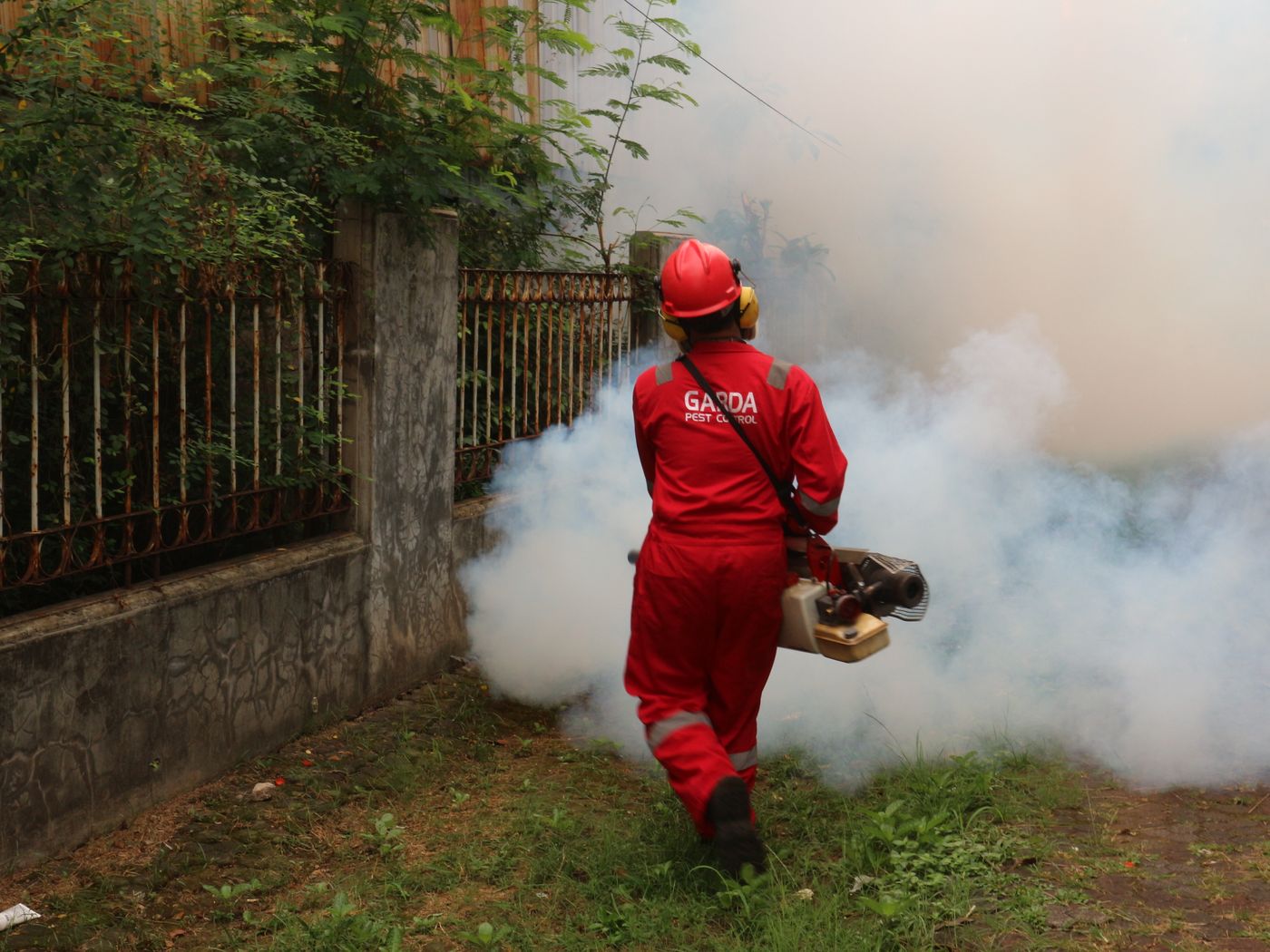 Technicien L.R.A en intervention anti-nuisibles dans les Alpes-Maritimes